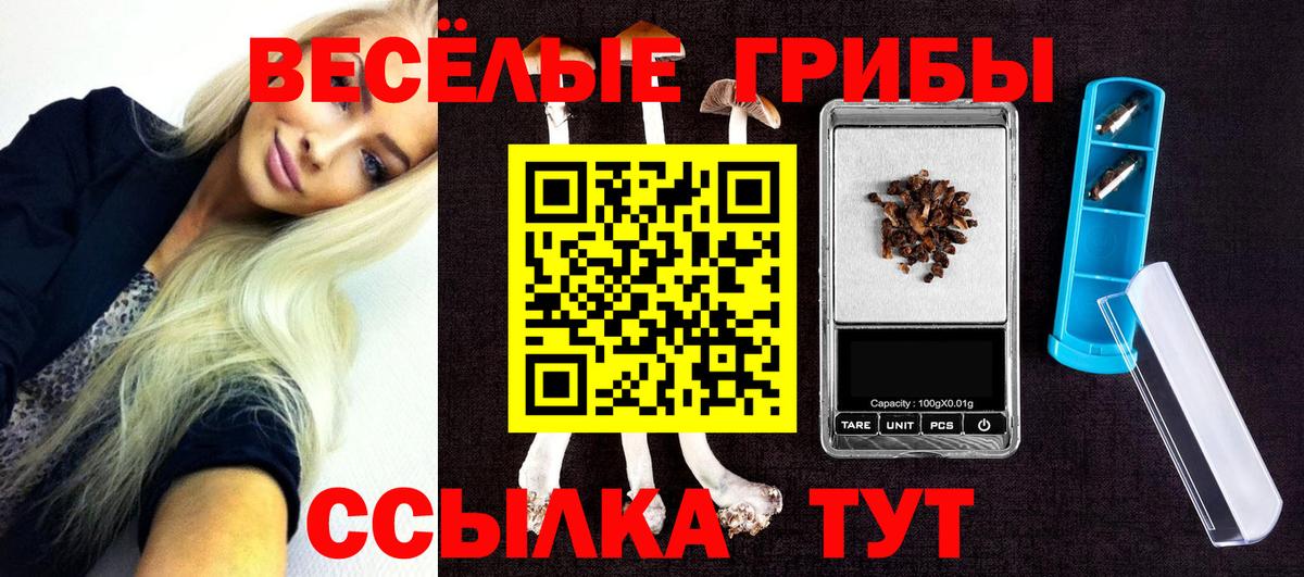 Кохма  Псилоцибиновые грибы прущие грибы  Вход с VPN 